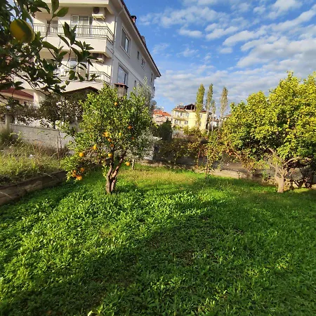 Mehmet Home's Villa